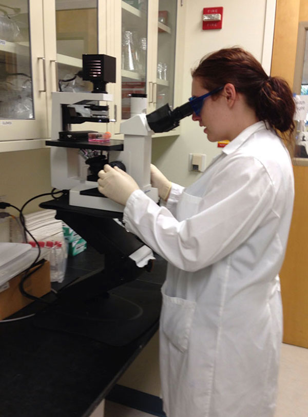 Jillian Steele working in the lab at Mills College, taking a closer look at cells (photo courtesy of Jillian Steele).